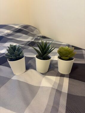 Set of 3 Small Faux Succulent Plants in White Pots - Green Mix